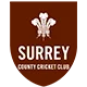 Surrey Jaguars