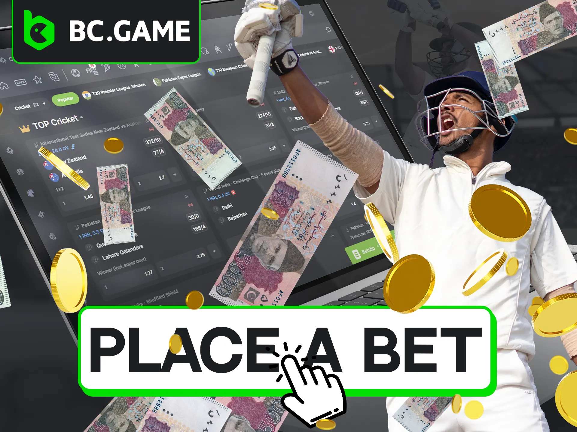 Bet on cricket matches with BC Game.